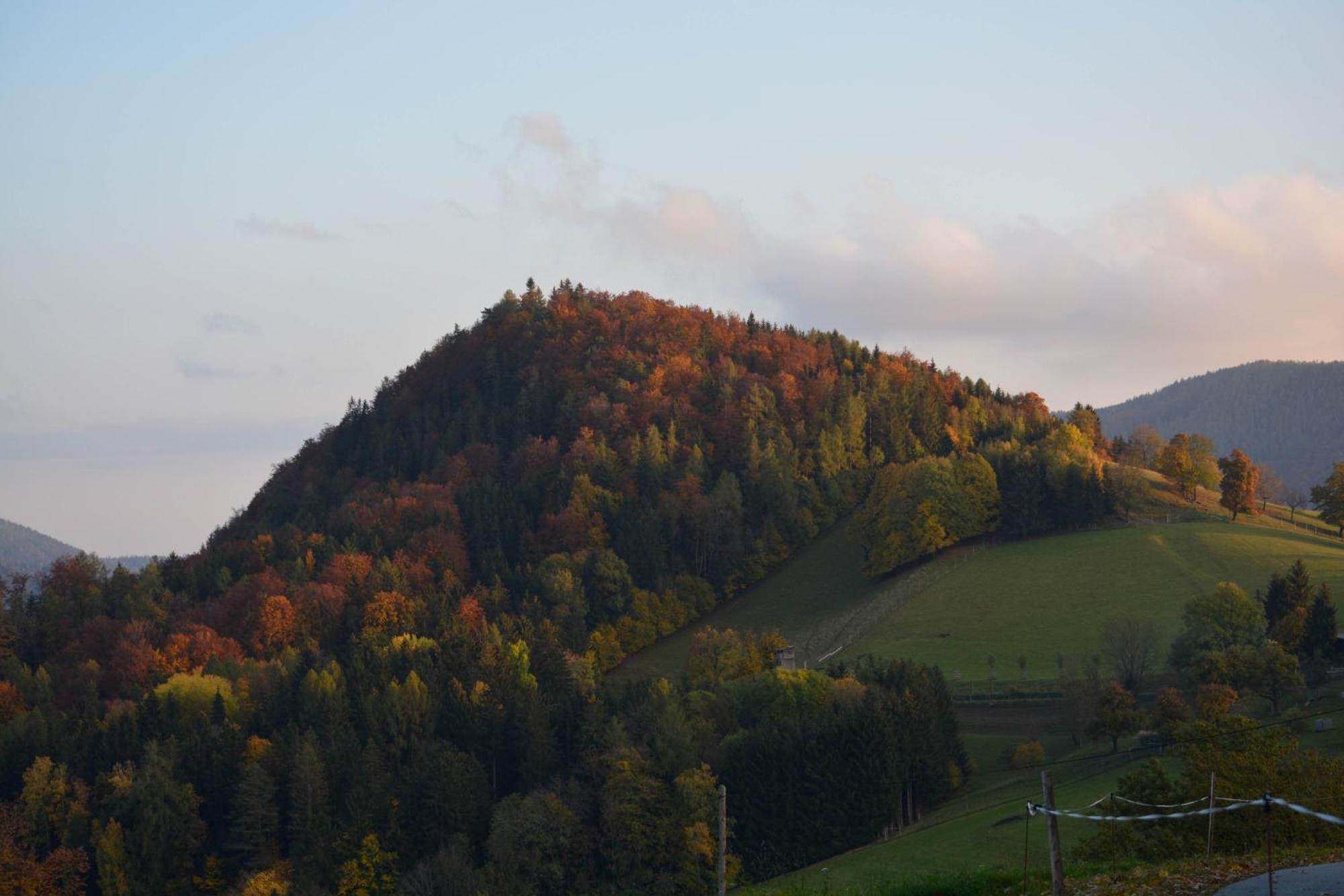 Ferienhaus Reisinger Promschhof Semriach Екстер'єр фото